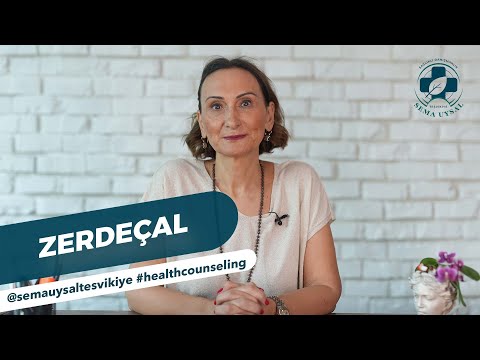 Zerdeçal